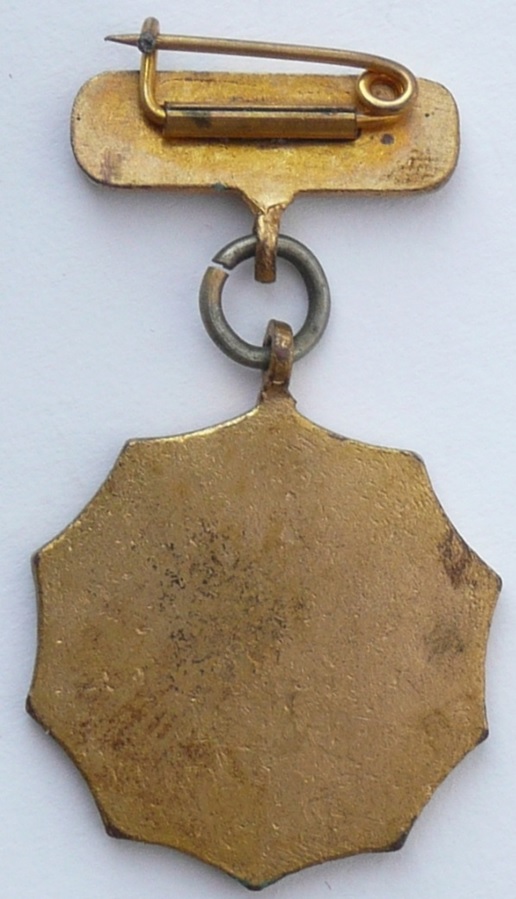 Hyogo Prefecture Disabled Veterans Association Badge..jpg