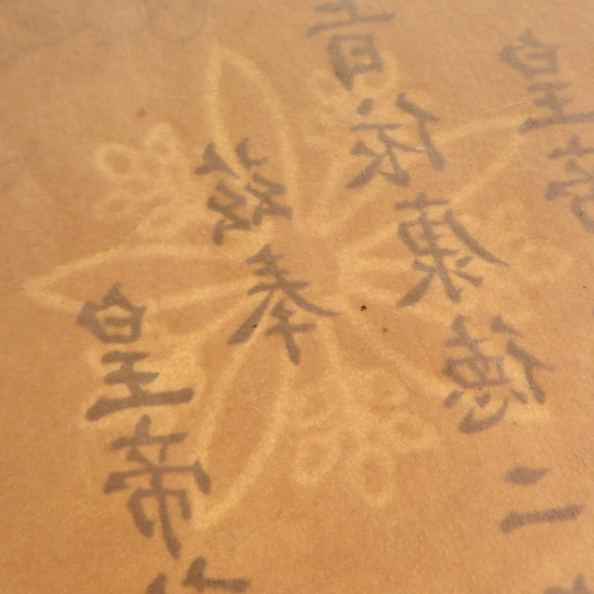 i-img1200x1200-1577370113dcagi5364710.jpg