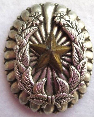 Ikan Badge.JPG