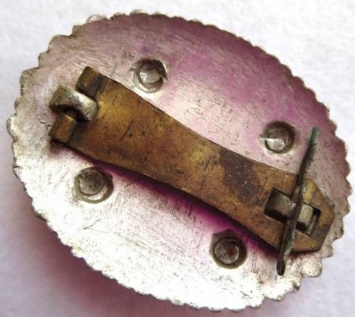 Ikan Badge -.JPG