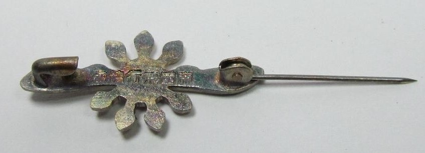Imperial Aviation  Association Regular Member's Badge.JPG