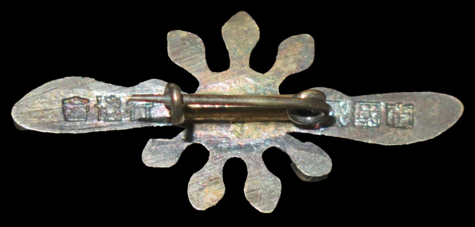 Imperial Aviation  Association Regular Member's Badge.jpg