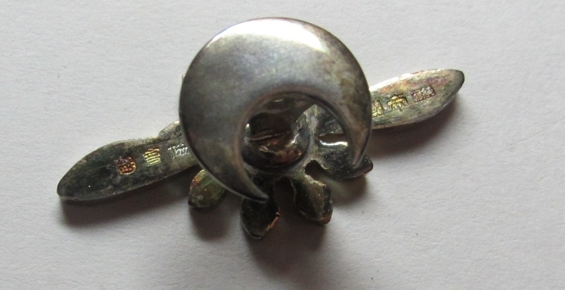 Imperial Aviation Association  Special Member's Badge.jpg