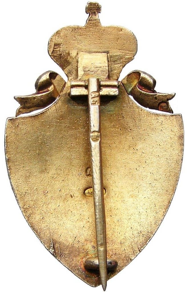 Imperial Russian Red Cross Society Badge  made by the  Alexander Brylov.jpg