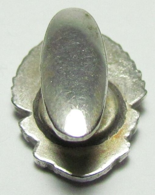 Imperial Soldiers' Support Association Officer and Staff Badge.jpg