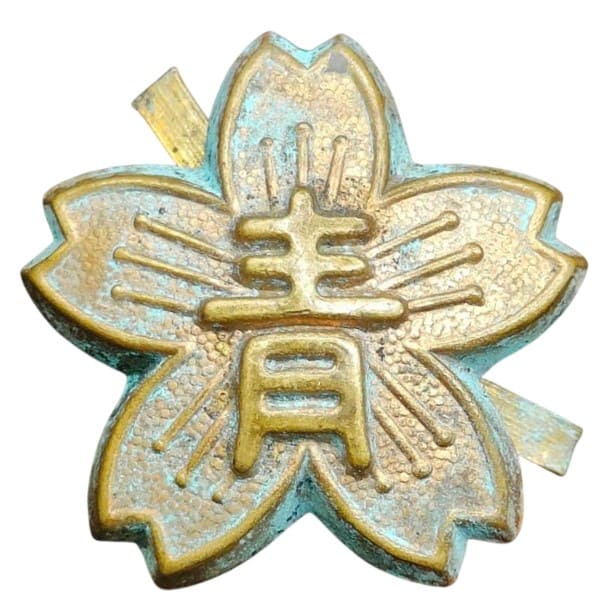 青 in the center for the 青年  - Youth.jpeg