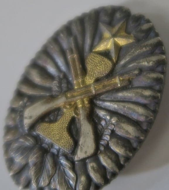Independent Garrison Unit  Commemorative Badge.jpg