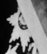 Itō Hirobumi Order of White  Eagle  for Non-Christians.jpg