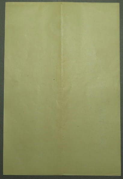 Japan Marine Rescue  Association Membership Certificate.jpg