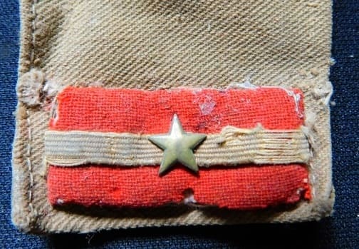 Japanese 8th Area Army  Nikkō Badge 日光章第八方面軍章.jpg