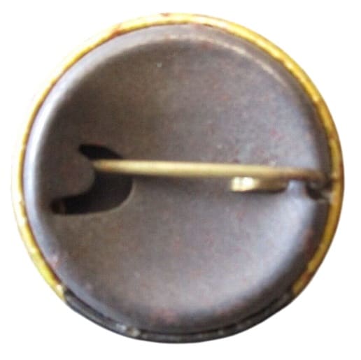 Japanese  Air Defense Badge.jpg