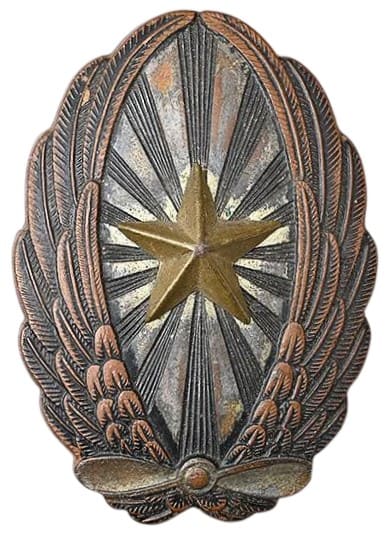 Japanese Army Pilot Badge.jpeg