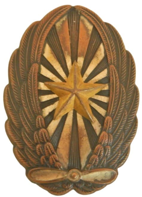 Japanese Army Pilot Badge.jpg