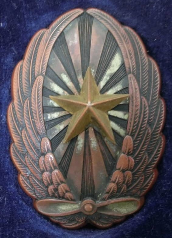 Japanese Army Pilot Badge  manufactured by Toho workshop.jpg