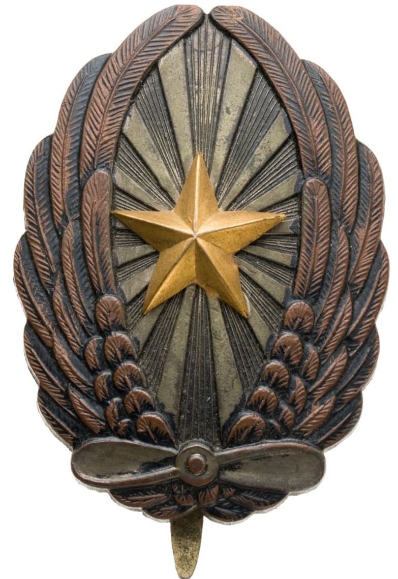 Japanese Army Pilot Badge Replica.jpg