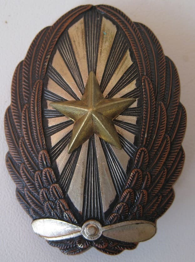 Japanese Army Pilot's Badge.jpg