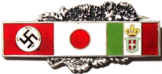 Japanese Axis Badge.jpg