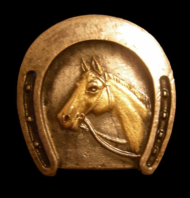 Japanese Equestrian Club Badge.jpg