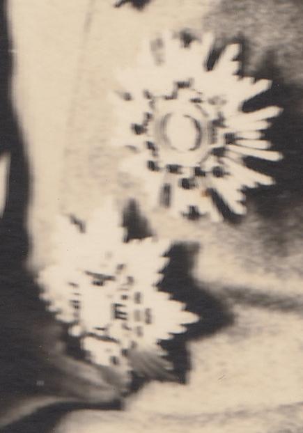 Japanese Lieutenant General with Pillars of the State breast star.jpg