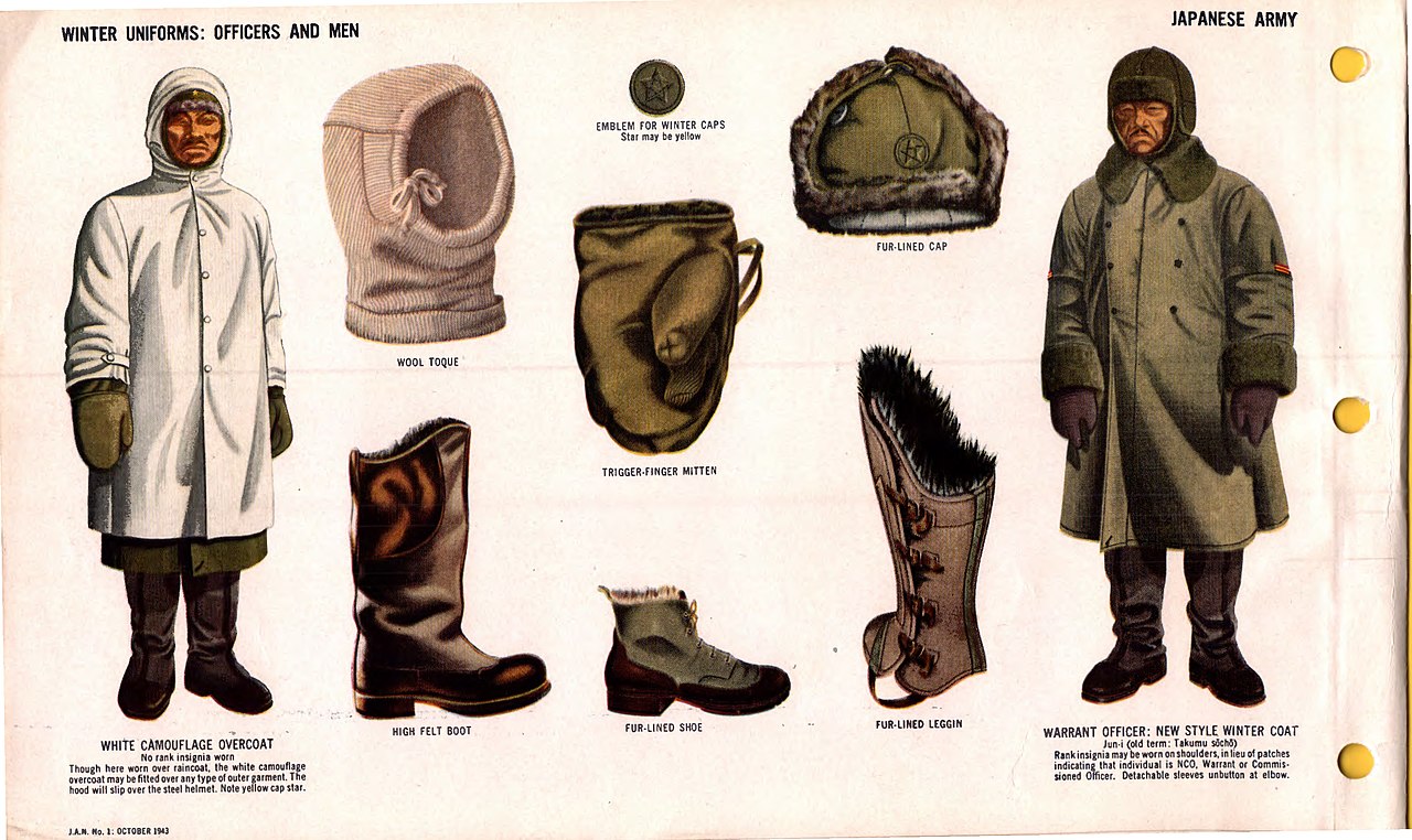 Japanese Navy. Uniforms and insignia 9.jpg