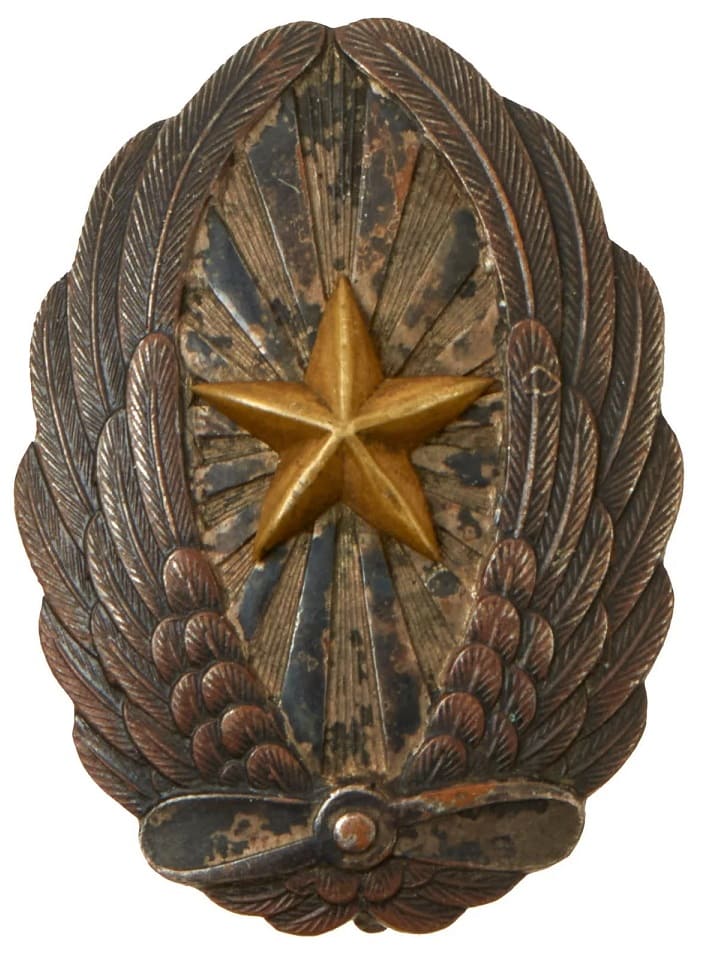 Japanese NCO Pilot Badge.jpg