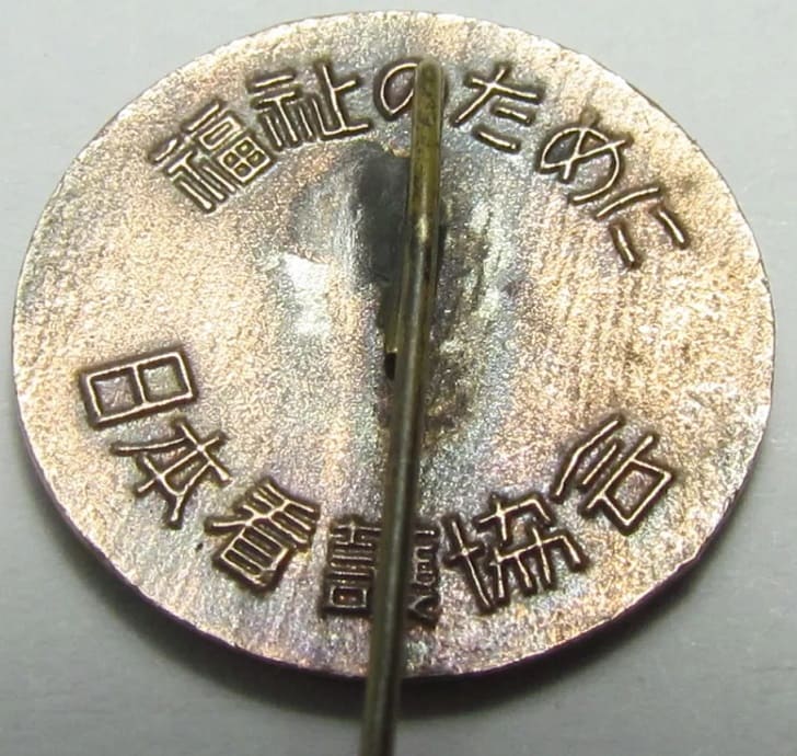 Japanese  Nursing Association Badge For the Public Welfare Badge.jpg