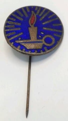 Japanese Nursing Association Badge For  the Public Welfare Badge.jpg