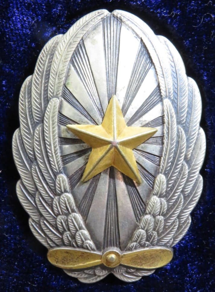 Japanese Officer's Pilot Badge.jpg