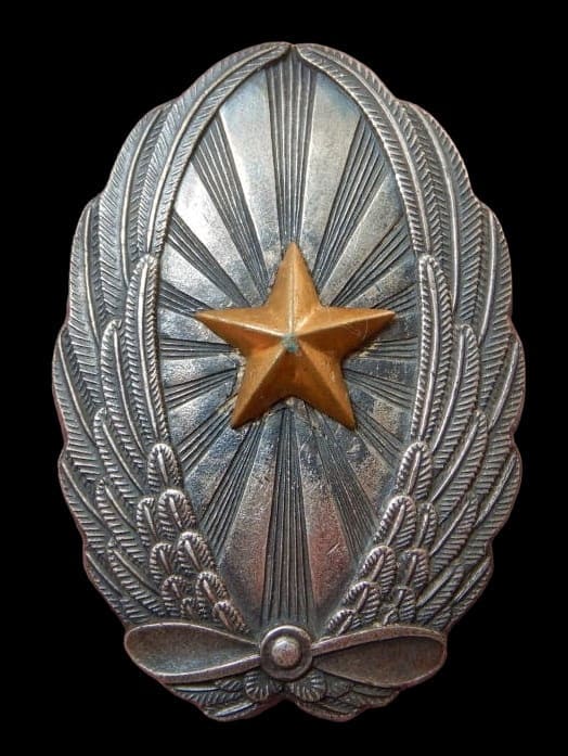 Japanese Officer's Pilot Badge Made in Silver.jpg
