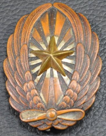 Japanese Pilot Badge.jpg