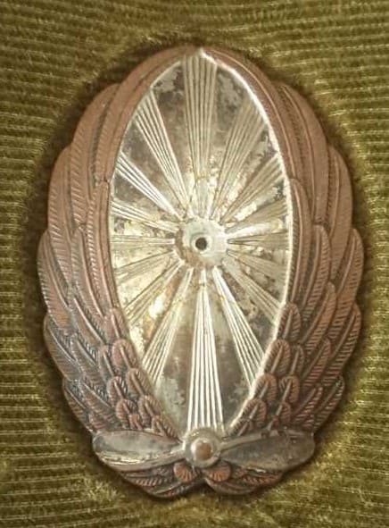 Japanese Pilot Badge.jpg