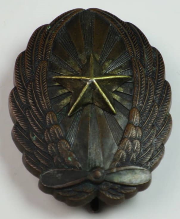 Japanese Pilot Badge.jpg
