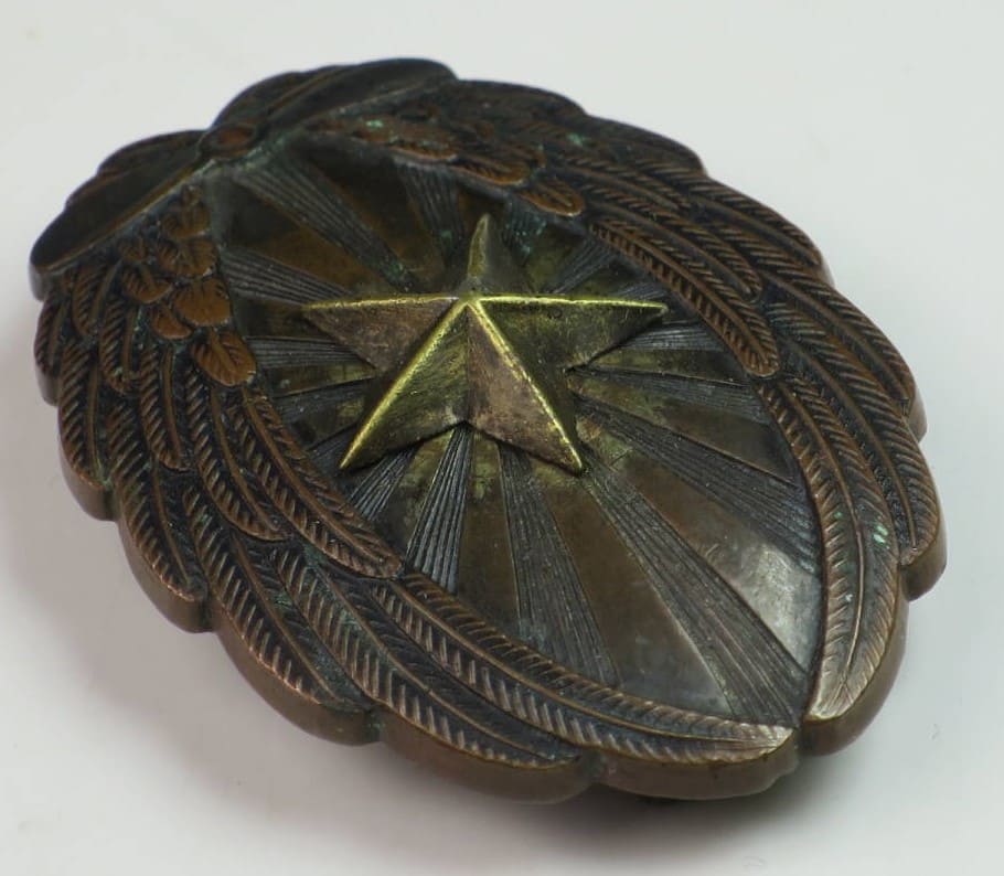 Japanese Pilot  Badge.jpg