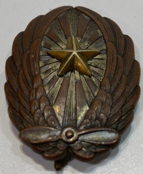 Japanese pilot badge.jpg