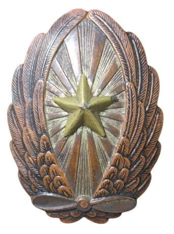 Japanese Pilot Badge.jpg