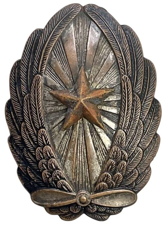 Japanese Pilot Badge.jpg