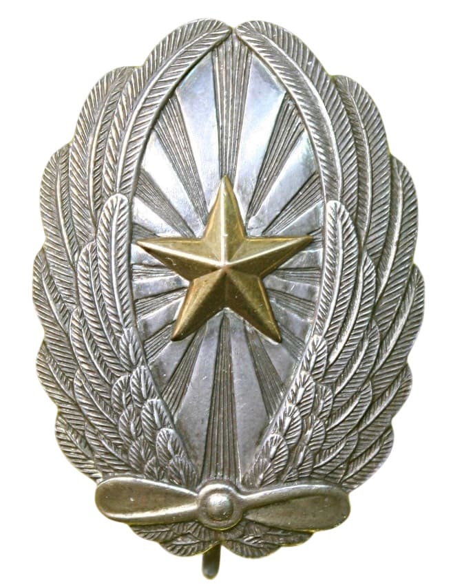 Japanese Pilot Badge..jpg