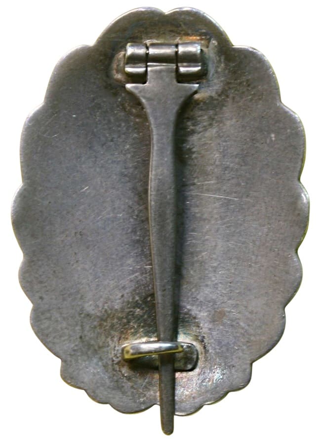 Japanese Pilot Badge.jpg