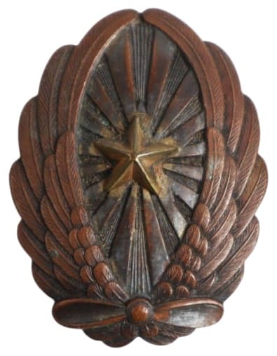 Japanese  Pilot Badge.jpg