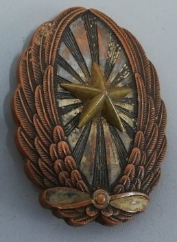 Japanese Pilot Badge.jpg