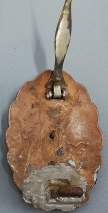 Japanese Pilot  Badge.jpg