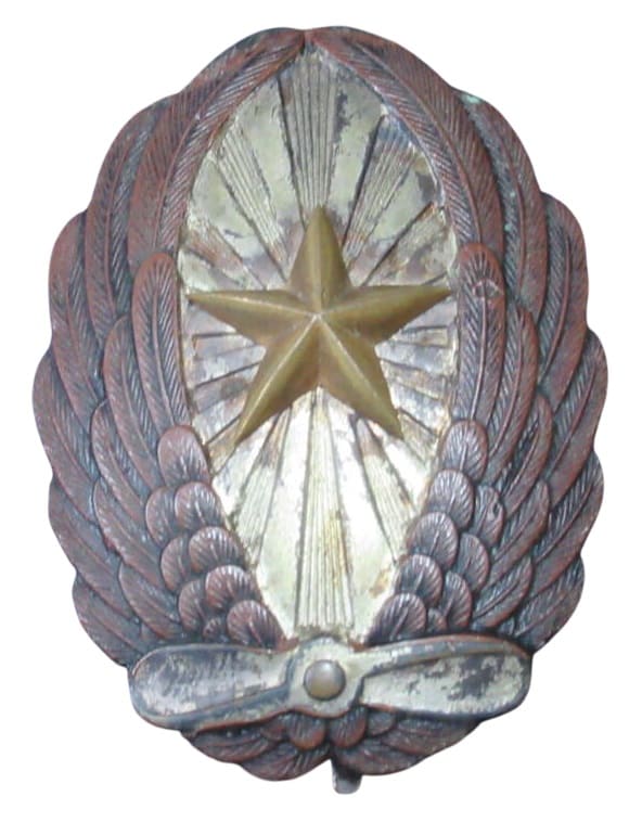 Japanese Pilot Badge.jpg
