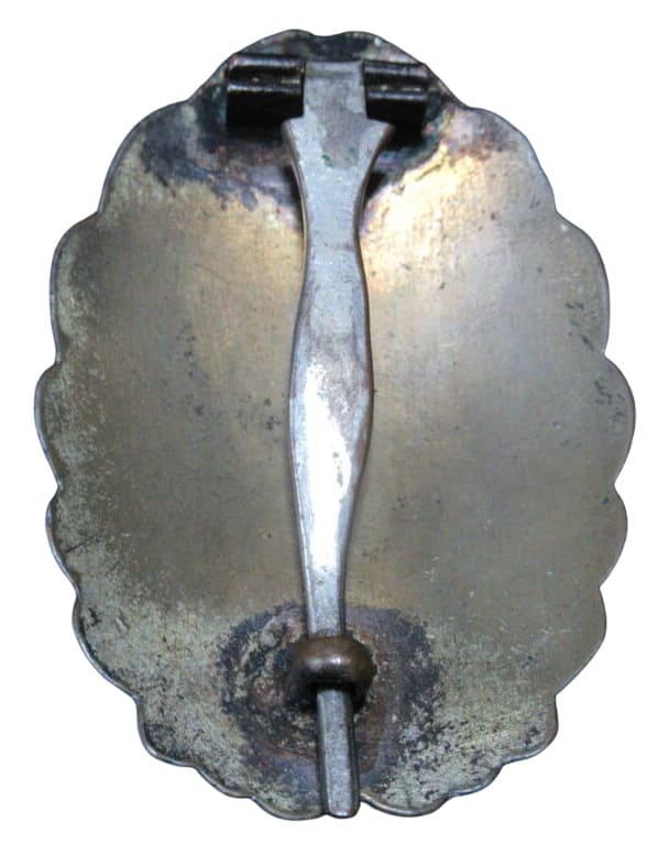 Japanese Pilot  Badge.jpg