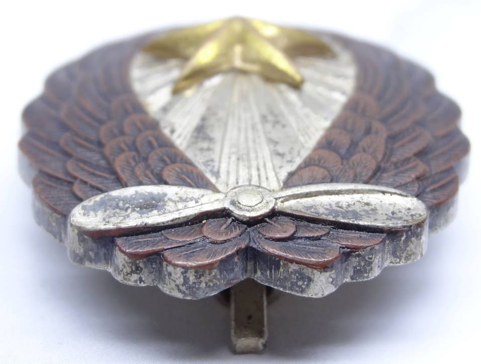Japanese Pilot  Badge of Satoshi Nakano.jpg