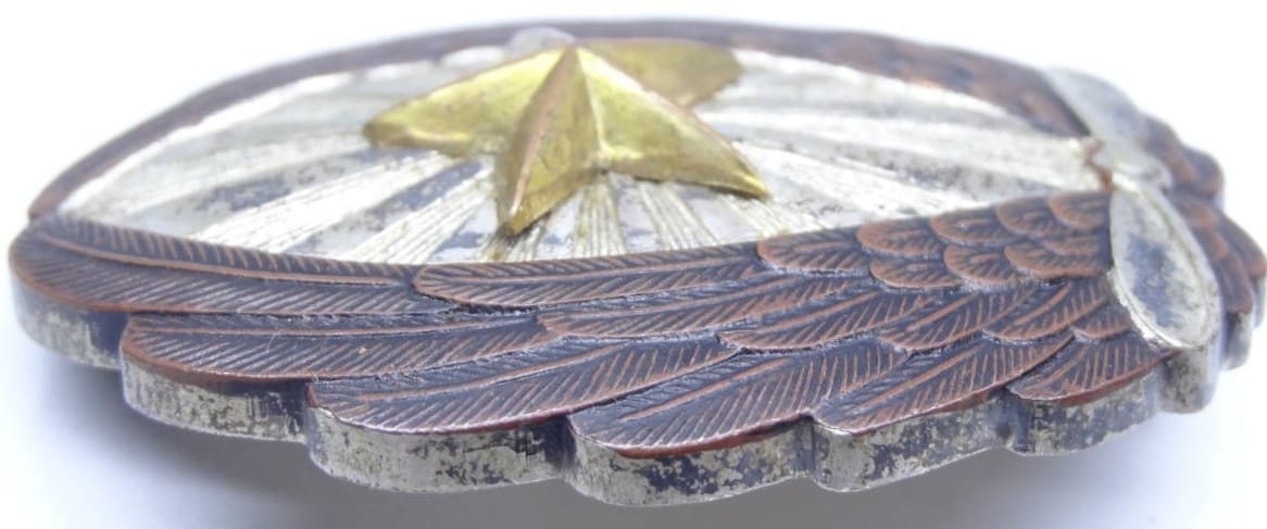 Japanese Pilot Badge  of Satoshi Nakano.jpg