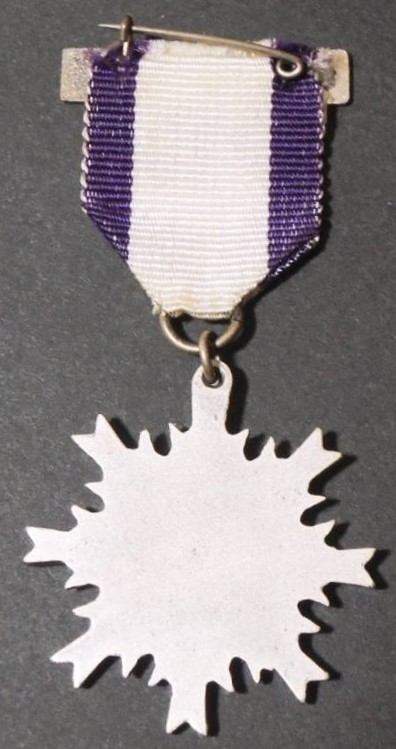 Japanese Self-Defense Force  Award Badge.jpg