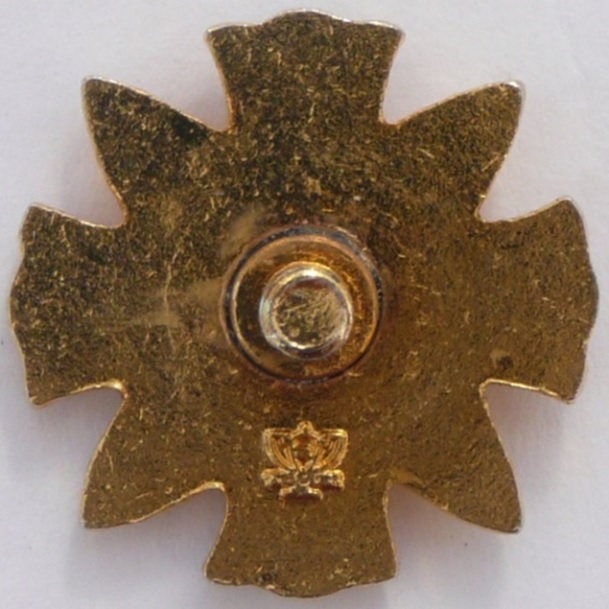 Japanese Wound Badge..jpg