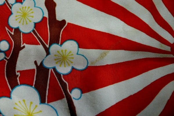 大日本国防婦人会   徳島県 天神班.jpg