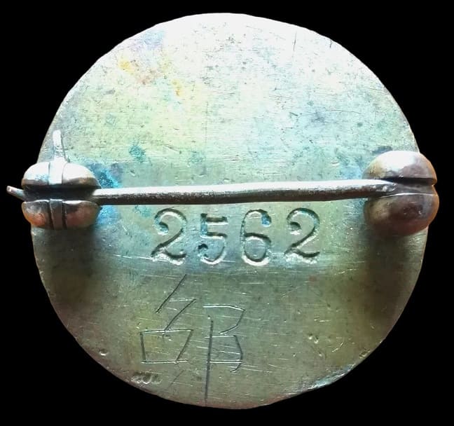 中華護士會章.jpg