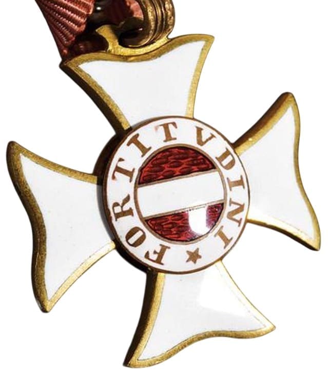 Knight's cross made by Rothe.jpg